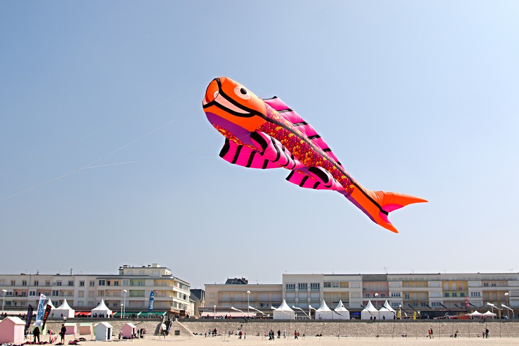 Cerfs-Volants vliegerfestival festival festiviteit evenement event berck sur mer vlieger speelgoed strand